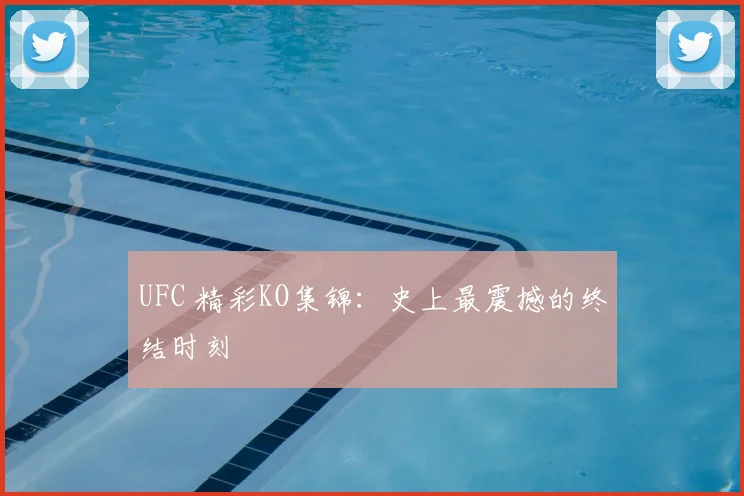 UFC 精彩KO集锦：史上最震撼的终结时刻